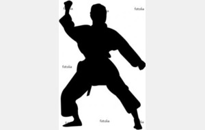 Compétition amicale Kata à FROSSAY - 15 mai
