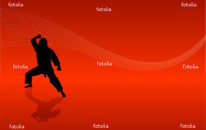 Préparation championnat de France &quot;kumité&quot;