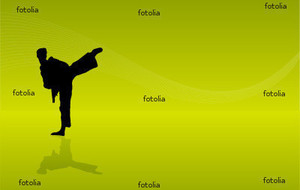 Préparation championnat de France &quot;kata&quot;