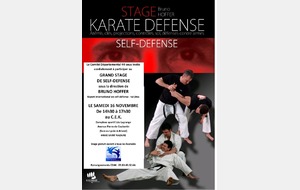 Stage départemental OFFER, 5ème dan tai jitsu