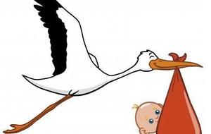 Naissance de Stanislas - 25 octobre 2014