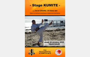 Stage kumité avec David GIRARD, CN 5ème dan