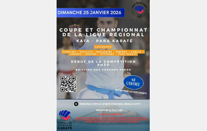 Résultats du championnat de ligue Kata