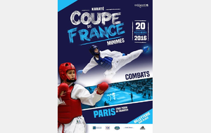 Coupe de France kumite