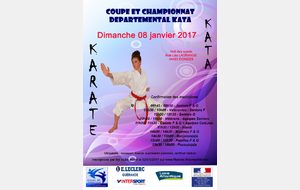 Coupe et championnat kata + handi