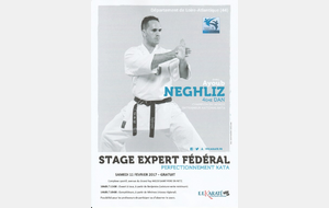 Stage expert : Ayoub NEGHLIZ, entraineur national kata