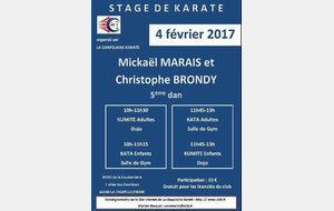 Stage Christophe BRONDY (kumité) et Mickael MARAIS (kata)