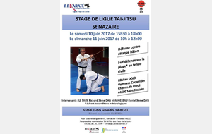 Stage de tai jitsu