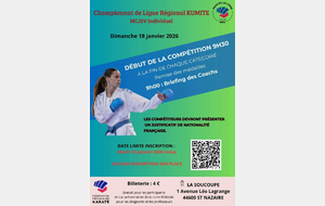 Championnat de ligue kumité