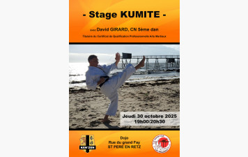 Stage kumité avec David GIRARD, CN 5ème dan