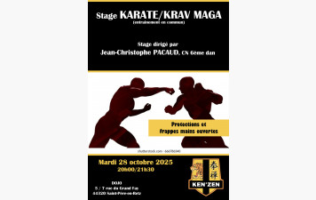 Regroupement Ken'Zen Karaté et Krav Maga