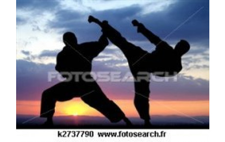 Inscription &quot;DIPLOME D'ANIMATEUR FEDERAL (DAF)&quot; 