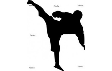 Initiation au karaté à l'école STE OPPORTUNE.