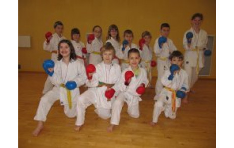 Résultat de la Coupe départementale kumité PPB