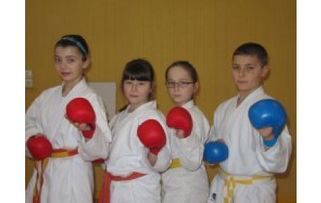 OPEN D'ORLEANS (Kumité)