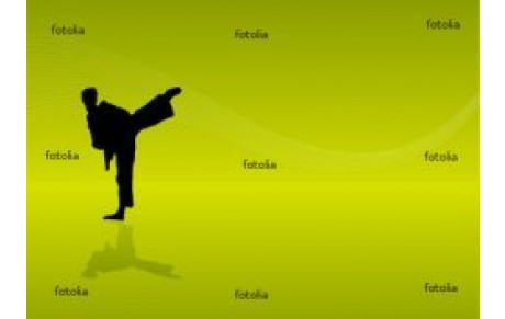 Coupe de ligue kumité PPB Honneur - 3 avril