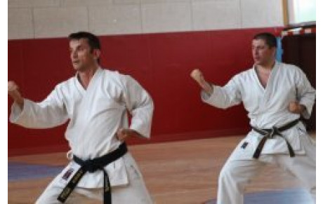 Participation au stage Laetitia GUESNEL.