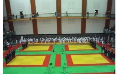 Coupe de France Kata à PARIS (Pupilles/Benjamins)