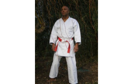 Stage avec Ivan COUVIN, 6ème dan à PORNIC