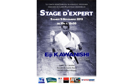 Stage départemental KAWANISHI, 8ème dan shito-ryu