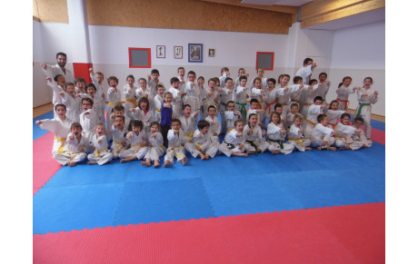 Stage enfants &quot;karaté ciné goûter&quot;