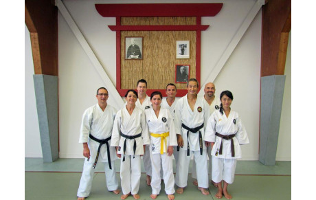 Stage départemental avec E. KAWANISHI, CN 8ème dan