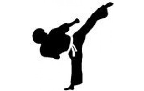 Stage haut niveau kumité