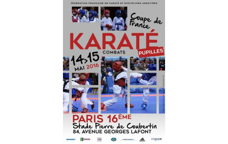 Coupe de France kumite (Pupilles)