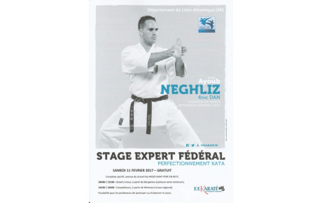 Stage kata avec Ayoub NEGHLIZ, entraineur national kata