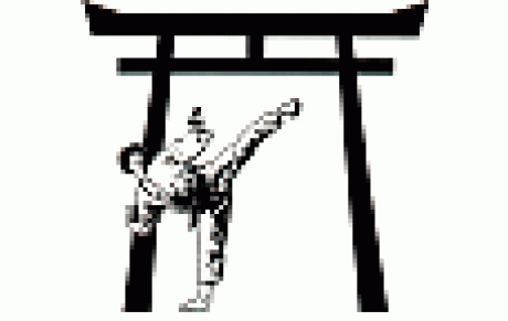 Cours compétiteurs Pupilles/Benjamins, enfants débutants et enfants loisir annulés en raison du stage karaté ciné