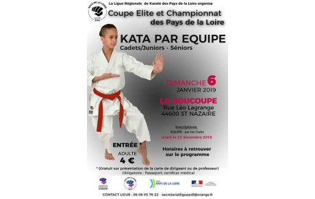 Championnat de ligue kata équipe