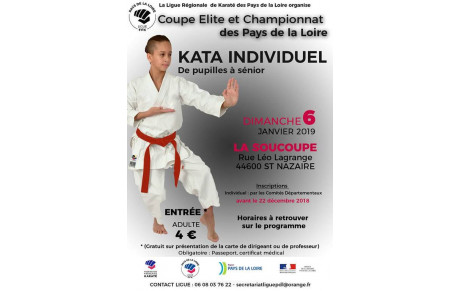 Championnat de ligue kata