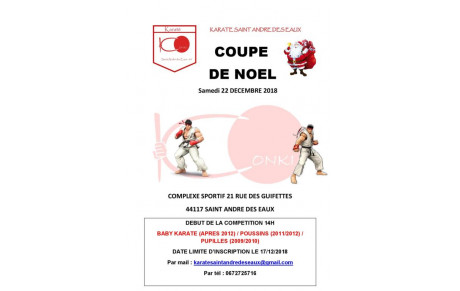 Coupe amicale de Noël - 22 décembre