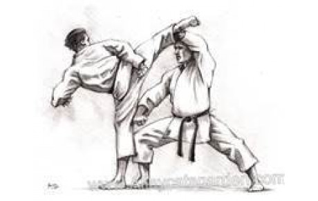 Entrainement avec Laetitia pour l'ensemble du groupe Kata