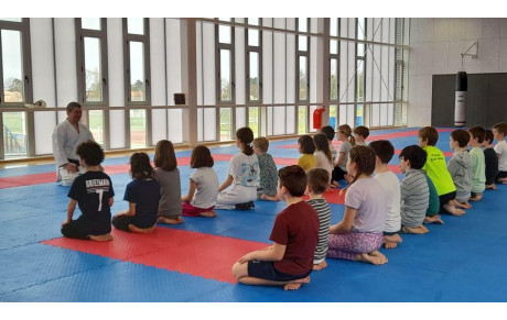 Stage Animation Départementale / Ken'Zen