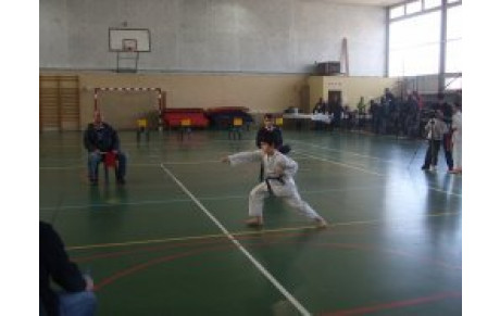 Compétition amicale PAIMBOEUF : 10 médailles